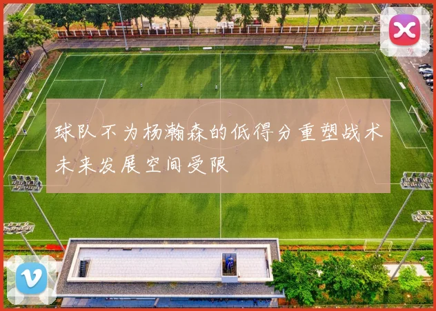 球队不为杨瀚森的低得分重塑战术未来发展空间受限